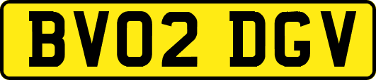 BV02DGV
