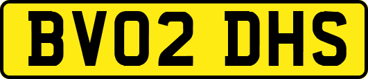 BV02DHS
