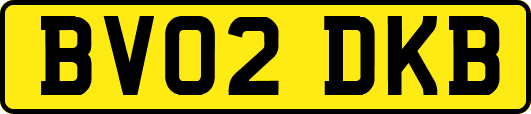 BV02DKB