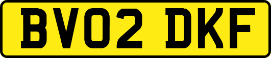 BV02DKF