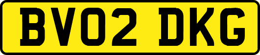 BV02DKG