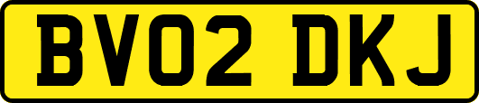 BV02DKJ