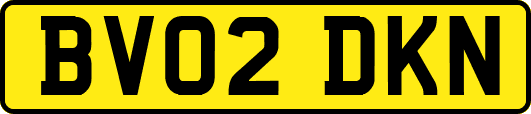 BV02DKN