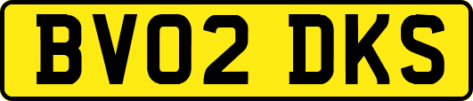 BV02DKS
