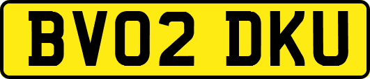 BV02DKU