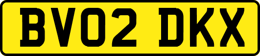 BV02DKX