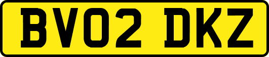 BV02DKZ