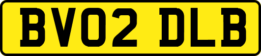 BV02DLB