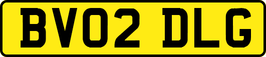 BV02DLG