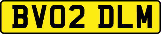 BV02DLM