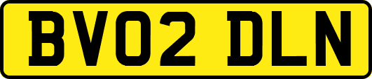 BV02DLN