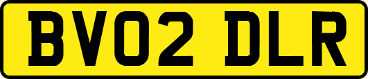 BV02DLR