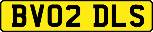 BV02DLS
