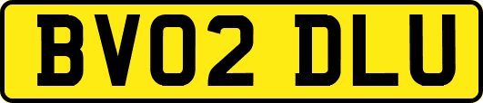 BV02DLU