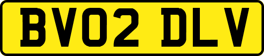 BV02DLV