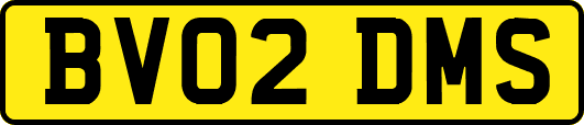 BV02DMS