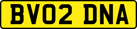 BV02DNA