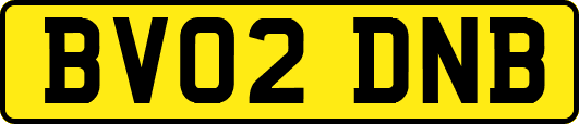 BV02DNB