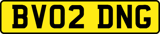 BV02DNG