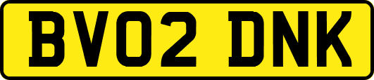BV02DNK