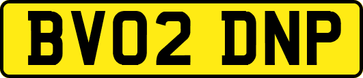 BV02DNP