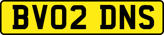 BV02DNS