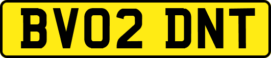 BV02DNT