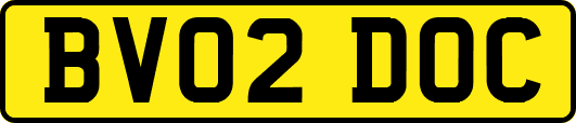 BV02DOC