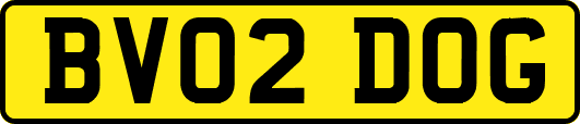 BV02DOG