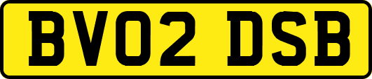 BV02DSB