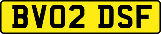 BV02DSF