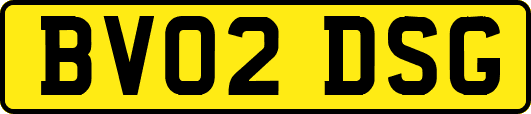 BV02DSG