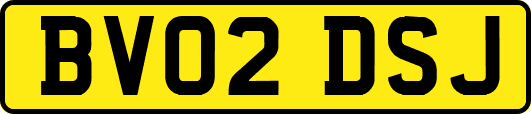 BV02DSJ