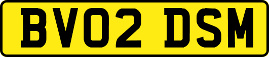 BV02DSM