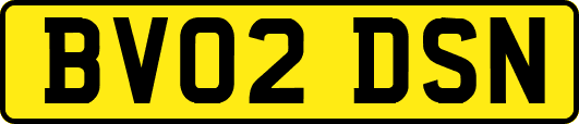 BV02DSN