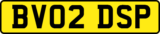 BV02DSP