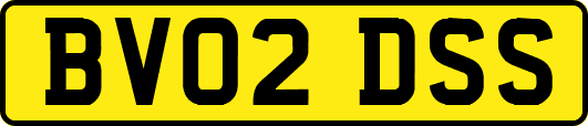 BV02DSS