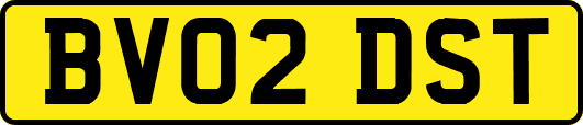 BV02DST