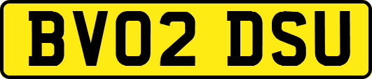 BV02DSU