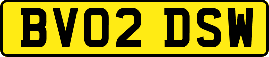 BV02DSW
