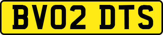 BV02DTS