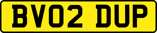 BV02DUP