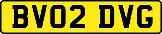 BV02DVG