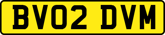 BV02DVM