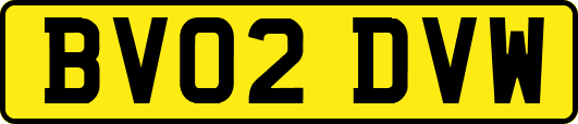 BV02DVW
