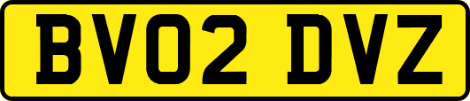 BV02DVZ