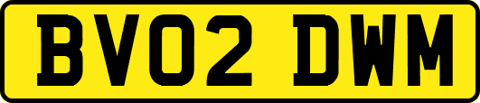 BV02DWM