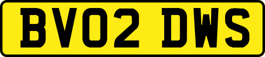 BV02DWS