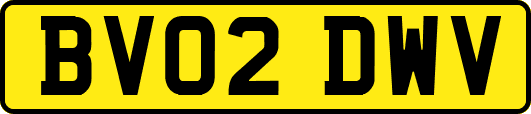 BV02DWV