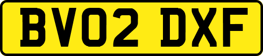 BV02DXF